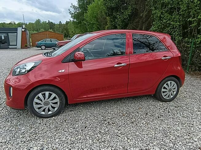 Kia Picanto Grzane fotele 59 tyś klimatyzacja ato Dulowa - zdjęcie 3