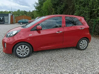Kia Picanto Grzane fotele 59 tyś klimatyzacja ato Dulowa - zdjęcie 3