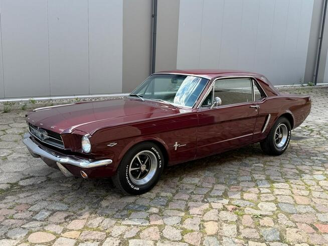 1965 Ford Mustang 289 v8 Automat Sprowadzony LUXURYCLASSIC Koszalin - zdjęcie 1
