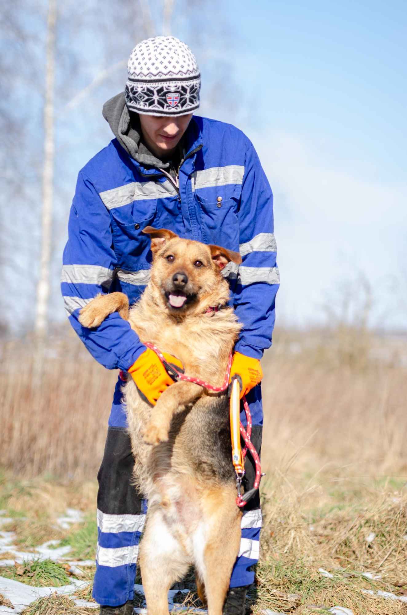 Kufel - fantastyczny, wesoły psiak szuka domu! Olsztyn - zdjęcie 2