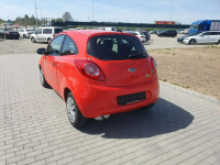 Ford KA 1.2 Beznyna Wspomaganie kierownicy 2009r Raty Zamiana Strobice - zdjęcie 4