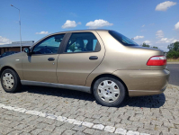 Fiat Albea 1.4 77KM Krowodrza - zdjęcie 3