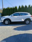 Hyundai Tucson 1.6 GDi Comfort 2WD Jangrot - zdjęcie 8