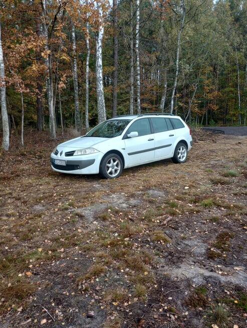 Sprzedam ładną Megi Słupsk - zdjęcie 1