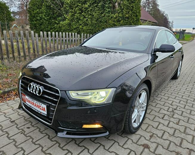 Audi A5 12/13r 177PS Navi Zadbany Rata800zł Śrem - zdjęcie 2