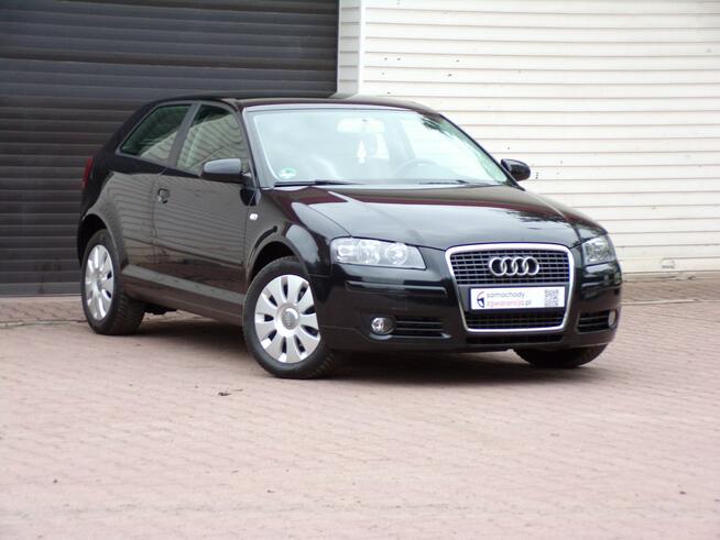Audi A3 Lift / Klimatronic /1,6 /115KM /2006r Mikołów - zdjęcie 2