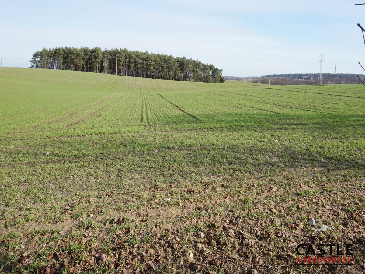 Działka z widokiem na jezioro! Sieraków - zdjęcie 1