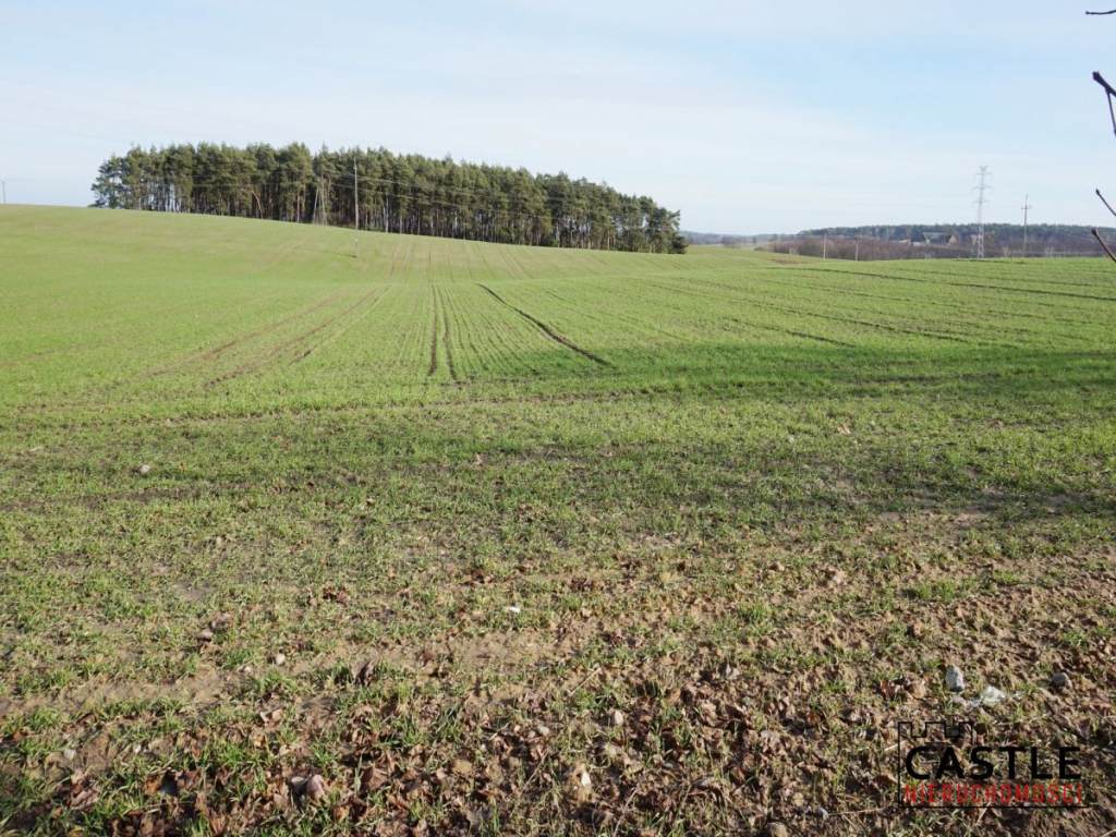 Działka z widokiem na jezioro! Sieraków - zdjęcie 1