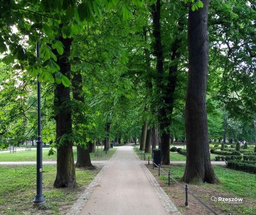 Twoje 32 m² w sercu Rzeszowa – Baza wypadowa z widokiem na możliwości! Rzeszów - zdjęcie 10