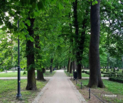 Twoje 32 m² w sercu Rzeszowa – Baza wypadowa z widokiem na możliwości! Rzeszów - zdjęcie 10