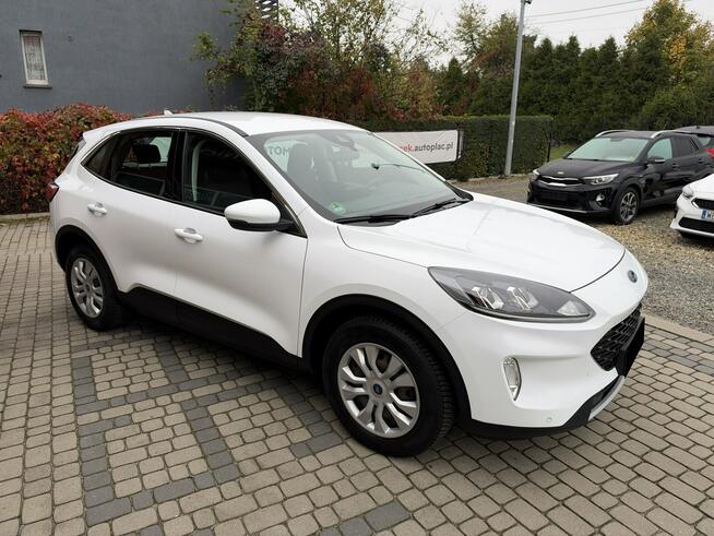 Ford Kuga 1,5 EcoBoost 120KM Orzech - zdjęcie 4