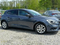 Renault Megane 1,3 Kamera, Nawigacja ,Serwis ,bdb stan Dulowa - zdjęcie 11