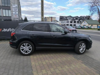 Audi Q5 2.0 TDi 190KM Quattro Skóra Navi Automat Łuków - zdjęcie 3