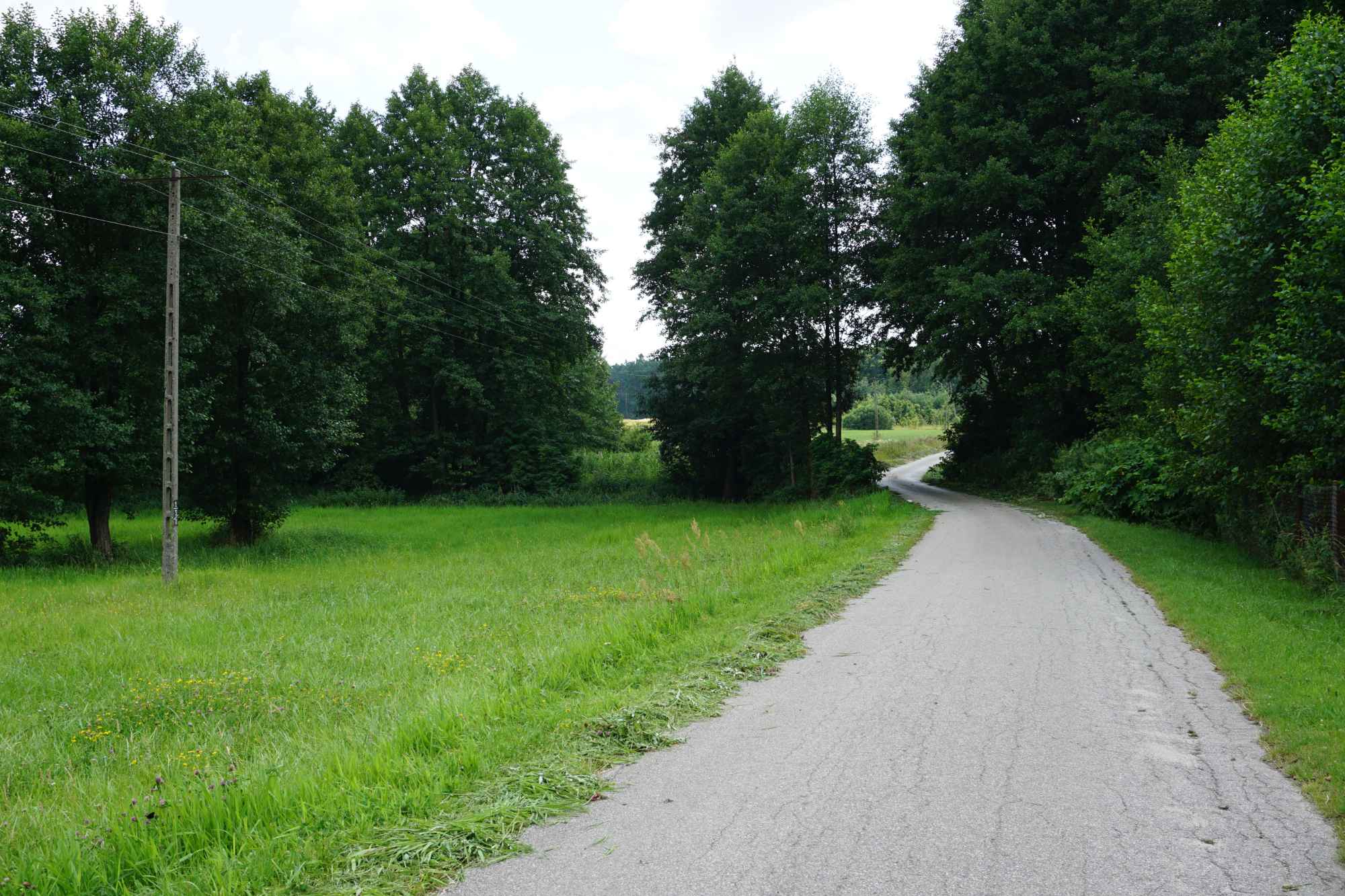 Siedlisko pod Adamowem pow. łukowski woj. lubelskie Łuków - zdjęcie 8