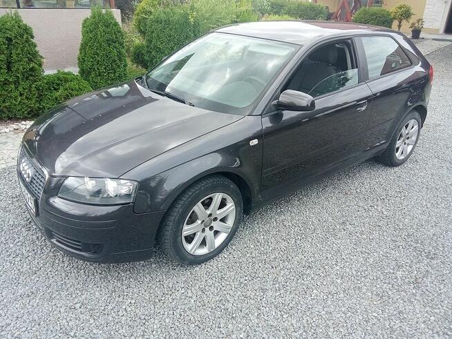 AUDI A3  1,9 tdi   105 KM  lift 2005 Pieszyce - zdjęcie 1