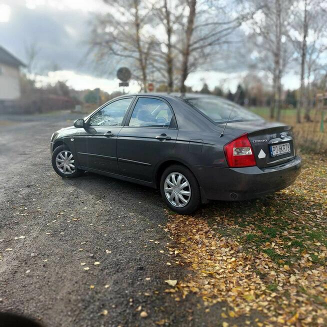 Kia Cerato Gaz sekwencja Poznań - zdjęcie 4