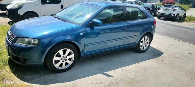Audi A3 8p 1.9 TDI Psie Pole - zdjęcie 12