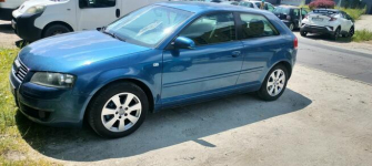 Audi A3 8p 1.9 TDI Psie Pole - zdjęcie 12