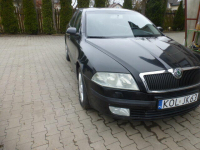 sprzeam oktawie Wolbrom - zdjęcie 3