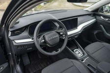 Škoda Octavia Edition 130 Selection 2.0 TDI 150 KM DSG Łódź - zdjęcie 12