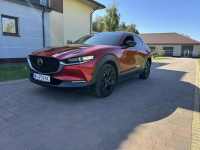 Mazda CX-30 Lipówki - zdjęcie 4