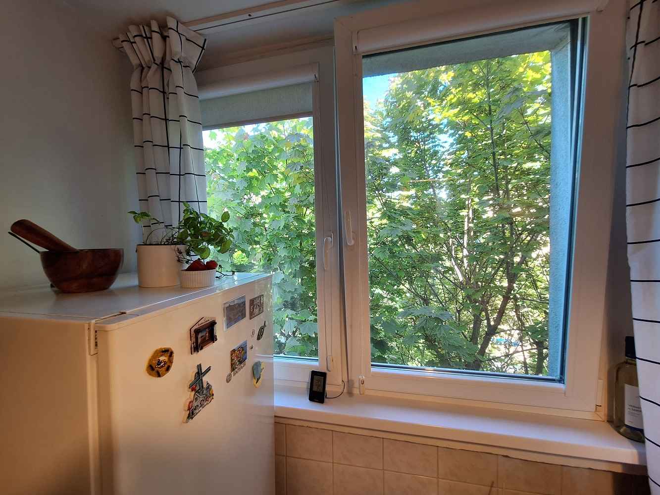 2pok, 38met, Okolice Lubińskiej PIWNICA (Wrocław) Stare Miasto - zdjęcie 10