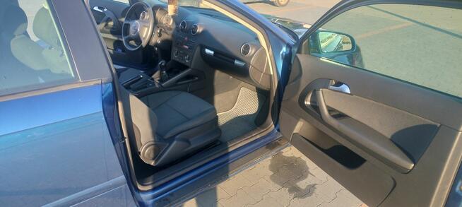 Audi A3 8p 1.9 TDI Psie Pole - zdjęcie 6