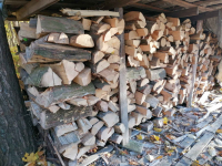 Sprzedam drewno opałowe Smętowo Graniczne - zdjęcie 2