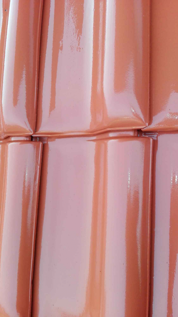 Malowanie dachów  Mycie dachu Janów Lubelski - zdjęcie 5