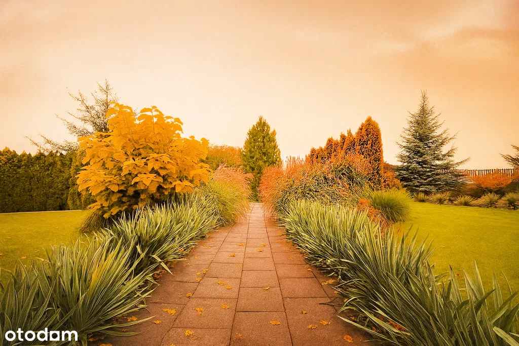 Parterowy dom koło Pabianic, Fotowoltaika,Solary.. Dobroń - zdjęcie 2