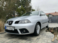 Seat Ibiza Bardzo zadbana - oryginalny przebieg - !!! Poznań - zdjęcie 5