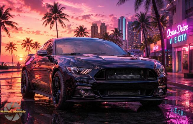 Mustang turbo, performance pack + premium pack + modyfikacje Chruszczobród - zdjęcie 2
