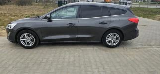 Ford Focus 1.5 2019r Małkowo - zdjęcie 4