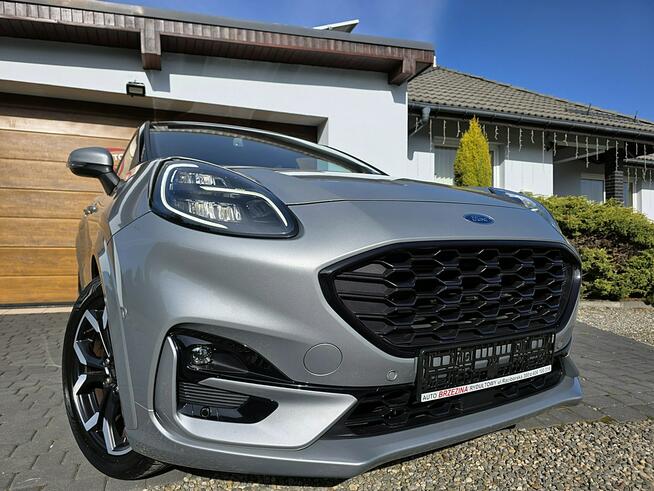 Ford Puma ST-LINE, serwis ASO, Full Led Rydułtowy - zdjęcie 6