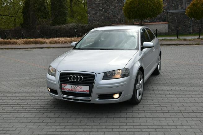 Audi A3 1.9TDi 105KM Manual 2008r. Klima Alufelgi TEMPOMAT Polecam Kampinos - zdjęcie 2