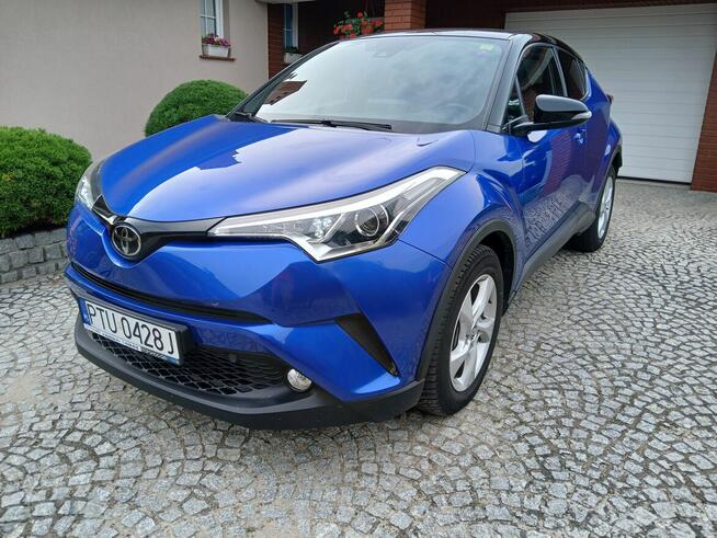 Toyota CHR Turek - zdjęcie 3