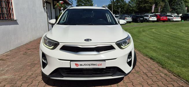 Kia Stonic AUTOMAT-KAMERA-LED-MEDIA Paproć - zdjęcie 2