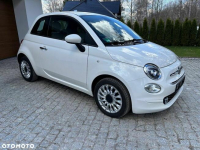 Fiat 500 1.2 8V Collezione Kielce - zdjęcie 5