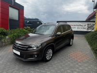 Volkswagen Tiguan 1.4 TSI 160#Panorama#Lifting# Margonin - zdjęcie 2