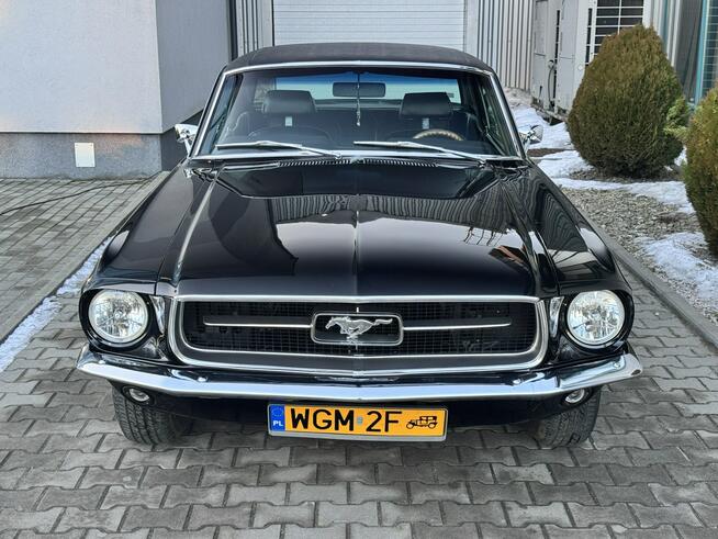 Ford Mustang GT coupe, V8 289ci 4.7l. Po odrestaurowaniu. Węgrzce - zdjęcie 2