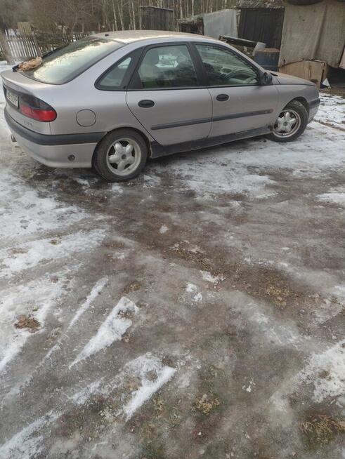 Sprzedam fure Parcice - zdjęcie 1