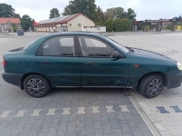 Sprzedam lanosika Kożuchów - zdjęcie 11