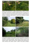 Syndyk sprzeda działkę Ostrowo Kolonia Pisz - zdjęcie 4