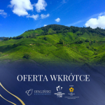 Ostatnia w okolicy | Twoje miejsce | Rzeszów - zdjęcie 2