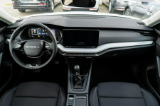 Škoda Octavia Drive 2.0 TDI 115 KM DSG - Dostępna od ręki! Łódź - zdjęcie 12