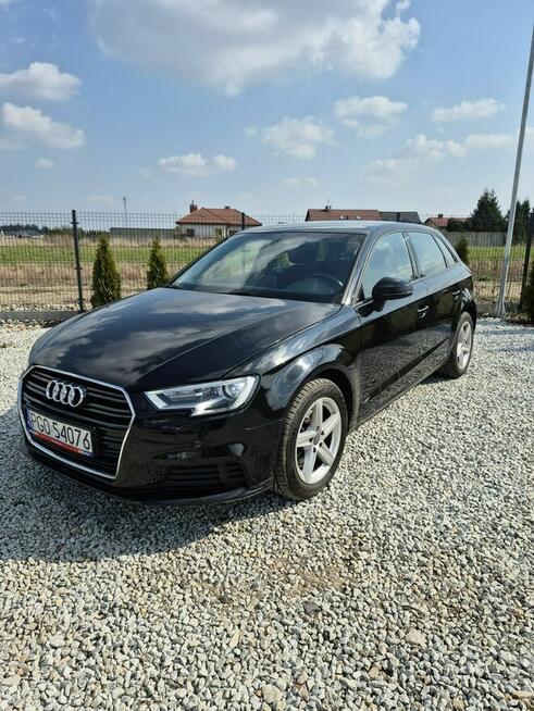 Audi A3 Grodzisk Wielkopolski - zdjęcie 4