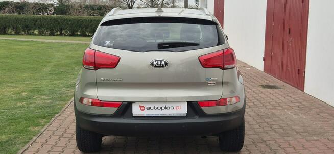 Kia Sportage ŚWIETNY STAN-KAMERA-NAVI-NAGŁOSNIENIE Paproć - zdjęcie 7