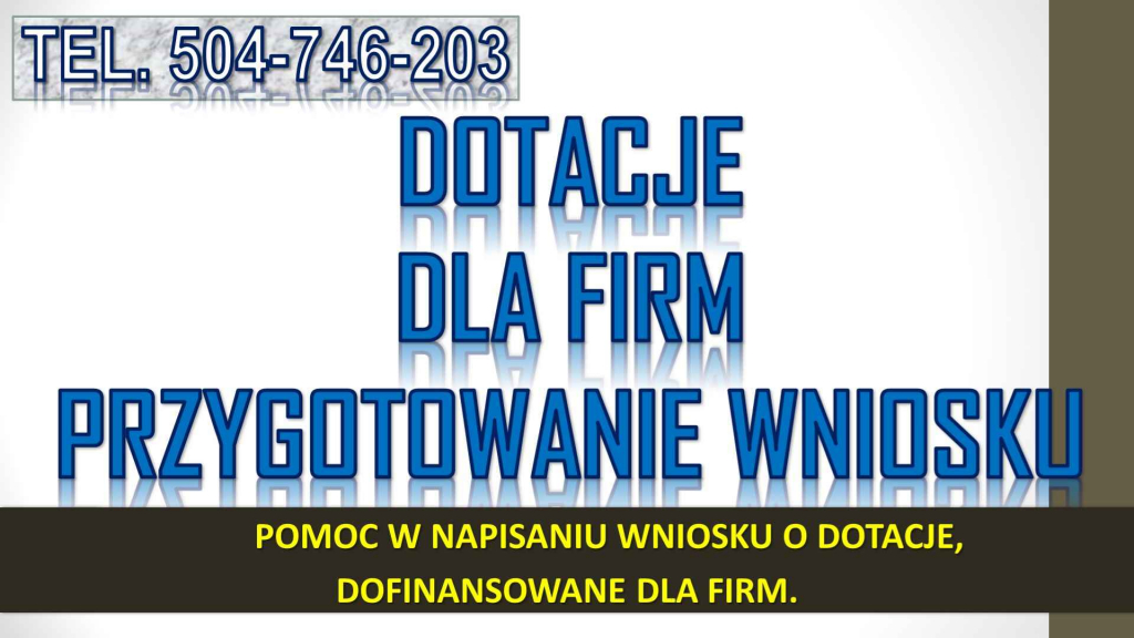 Urząd Pracy, pomoc w napisaniu wniosku o dotacje, dofinansowanie, cena Psie Pole - zdjęcie 8