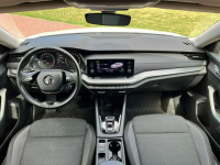 Octavia 2.0 TDI | 2023 | Serwis ASO | Salon PL | 116 KM | automat Nowe Iganie - zdjęcie 8