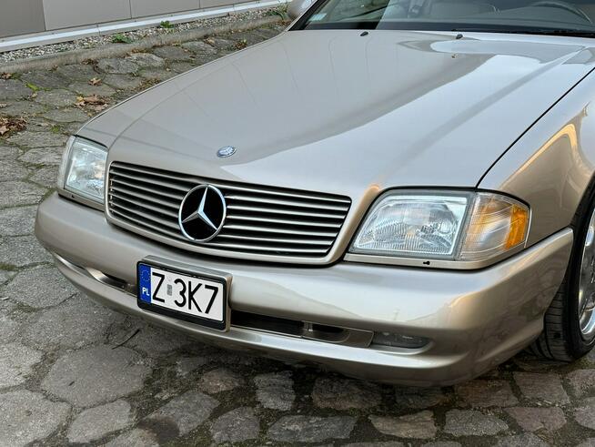 Mercedes SL 500 2000 SL500 pakiet AMG LIFT zarejestrowny LUXURYCLASSIC Koszalin - zdjęcie 10